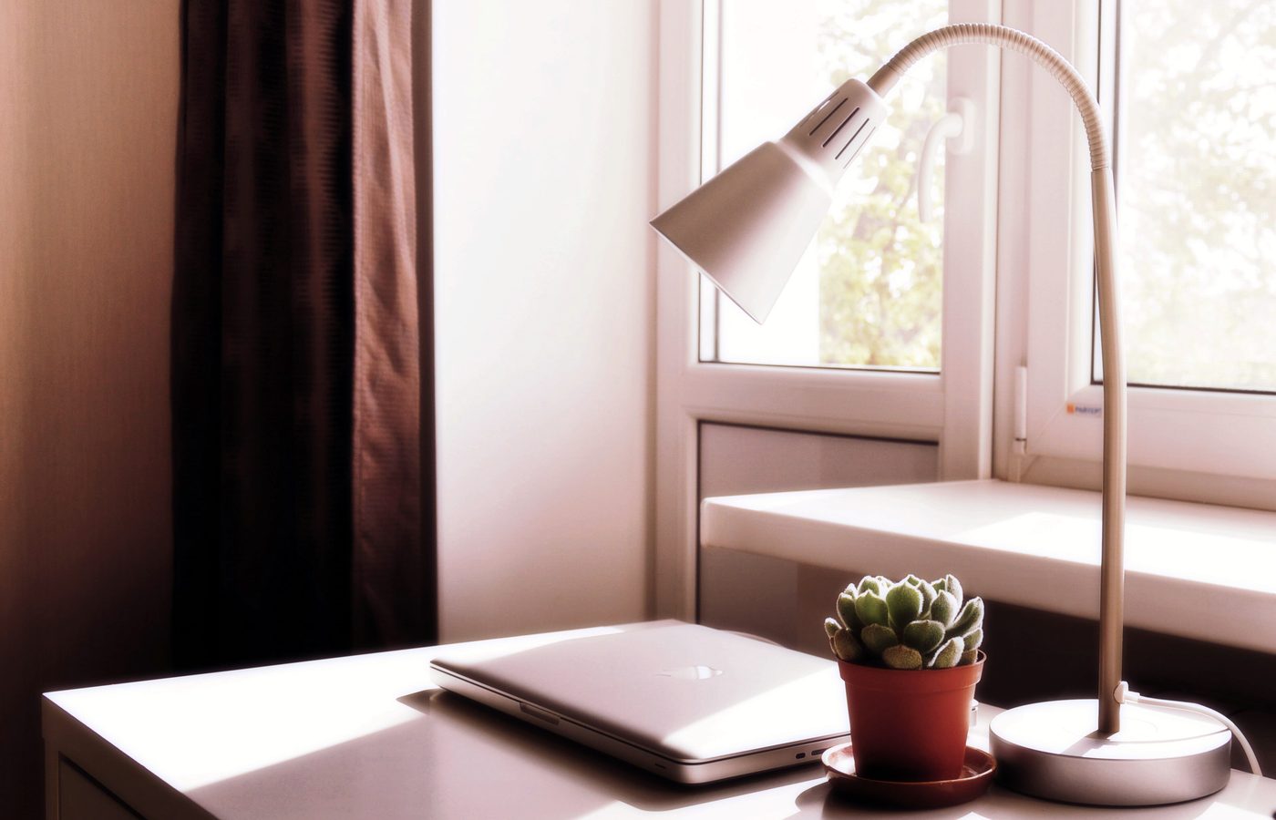 Table de travail près d’une fenêtre, carnet et plante